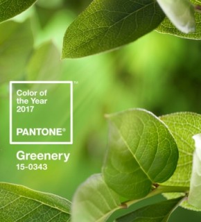Новый цвет года 2017 по версии Pantone: Зеленая листва - Greenery